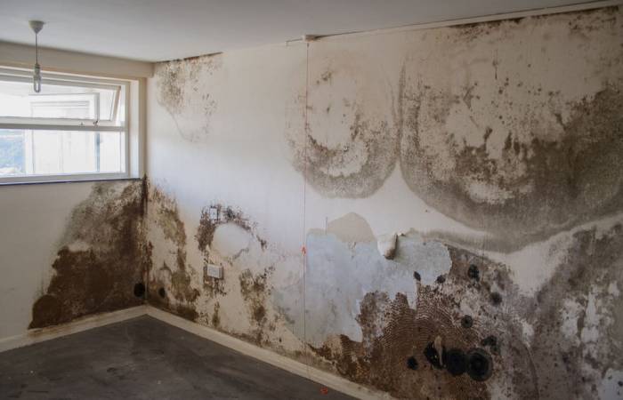 Tường ẩm mốc hoen ố lâu năm do không xử lý chống thấm ngay từ đầu